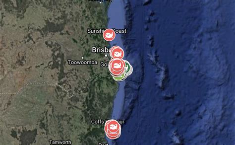 pwf|Whale & Dolphin Tracker Live Sightings Map 